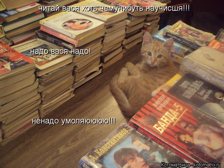читай вася хоть чемунибуть научисшя!!! ненадо умоляюююю!!! надо вася надо!... Котоматрица: читай вася хоть чемунибуть научисшя!!! ненадо умоляюююю!!! надо вася надо!