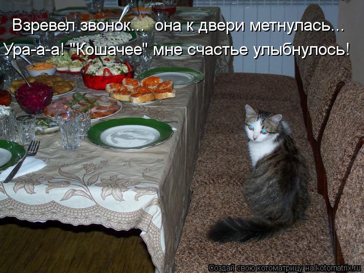 Взревел звонок... она к двери метнулась... Ура-а-а! "Кошачее" мне счастье улыбнулось!... Котоматрица: Взревел звонок... она к двери метнулась... Ура-а-а! "Кошачее" мне счастье улыбнулось!