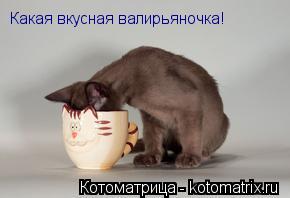Какая вкусная валирьяночка!... Котоматрица: Какая вкусная валирьяночка!