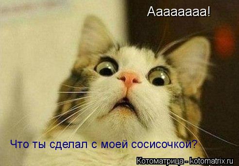 Аааааааа! Что ты сделал с моей сосисочкой?... Котоматрица: Аааааааа! Что ты сделал с моей сосисочкой?