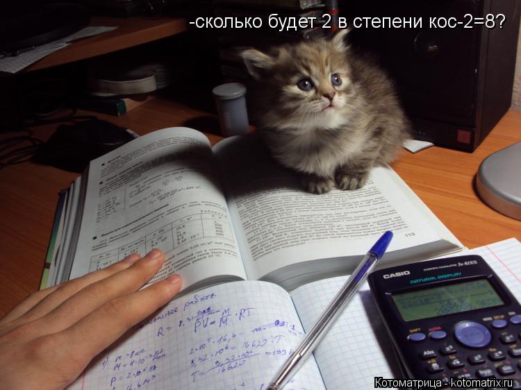 -сколько будет 2 в степени кос-2=8?... Котоматрица: -сколько будет 2 в степени кос-2=8?