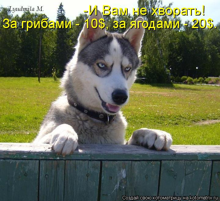 -И Вам не хворать! За грибами - 10$, за ягодами - 20$.... Котоматрица: -И Вам не хворать! За грибами - 10$, за ягодами - 20$.