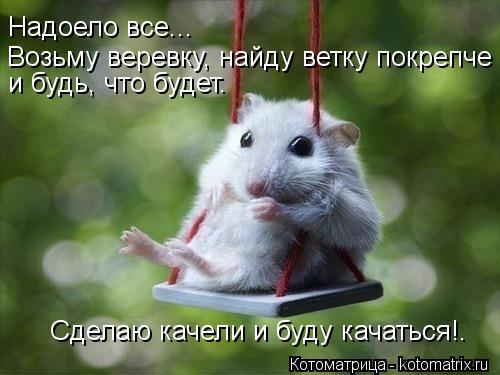 Надоело все... Возьму веревку, найду ветку покрепче и будь, что будет… и будь, что будет… Сделаю каче... Котоматрица: Надоело все... Возьму веревку, найду ветку покрепче и будь, что будет… и будь, что будет… Сделаю качели и буду качаться!.