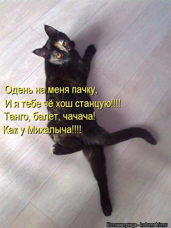 Одень на меня пачку, И я тебе чё хош станцую!!!! Танго, балет, чачача! Как у Михалыча!!!!... Котоматрица: Одень на меня пачку, И я тебе чё хош станцую!!!! Танго, балет, чачача! Как у Михалыча!!!!
