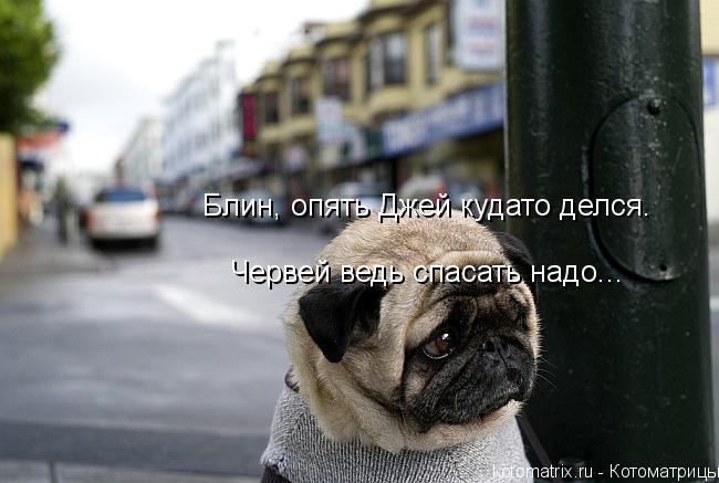 Блин, опять Джей кудато делся. Червей ведь спасать надо... Червей ведь спасать надо... Червей ведь сп... Котоматрица: Блин, опять Джей кудато делся. Червей ведь спасать надо... Червей ведь спасать надо... Червей ведь спасать надо...