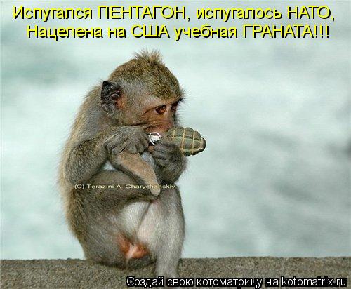 Испугался ПЕНТАГОН, испугалось НАТО, Нацелена на США учебная ГРАНАТА!!!... Котоматрица: Испугался ПЕНТАГОН, испугалось НАТО, Нацелена на США учебная ГРАНАТА!!!