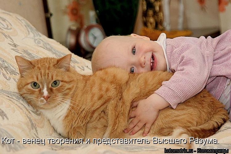 Кот - венец творения и представитель Высшего Разума.... Котоматрица: Кот - венец творения и представитель Высшего Разума.