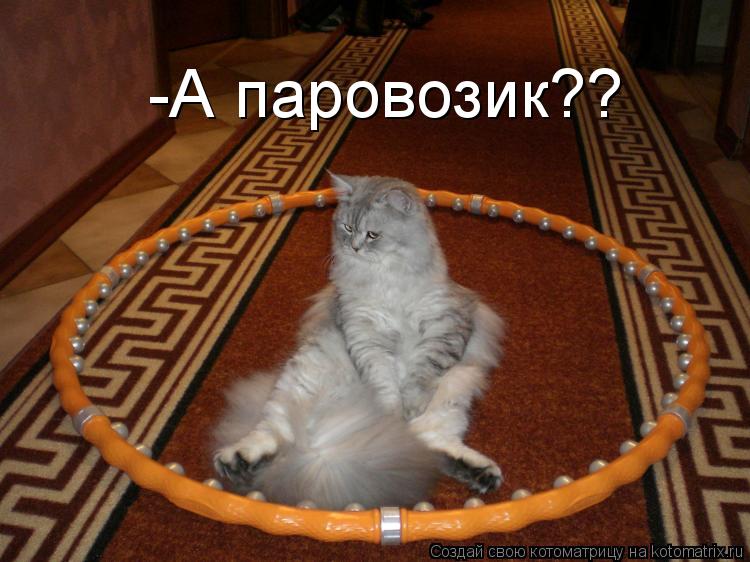 -А паровозик??... Котоматрица: -А паровозик??