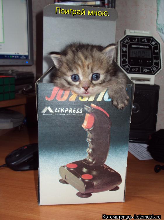 Поиграй мною.... Котоматрица: Поиграй мною.