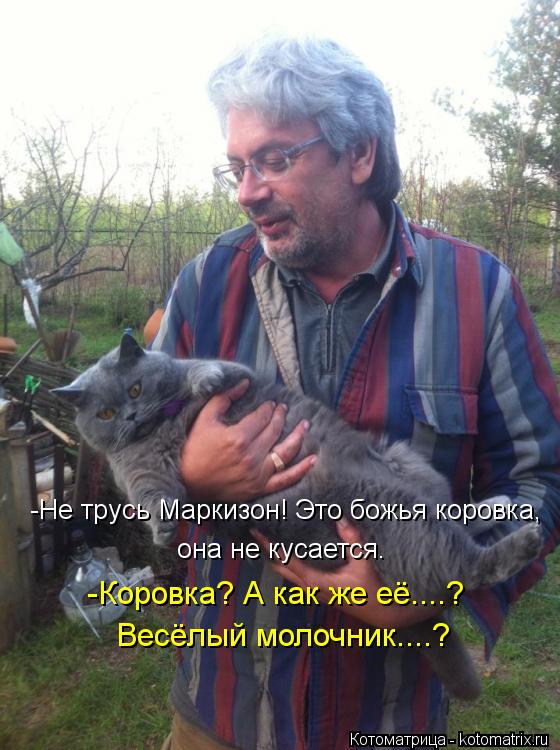 -Не трусь Маркизон! Это божья коровка, она не кусается. -Коровка? А как же её....? Весёлый молочник..... Котоматрица: -Не трусь Маркизон! Это божья коровка, она не кусается. -Коровка? А как же её....? Весёлый молочник....?