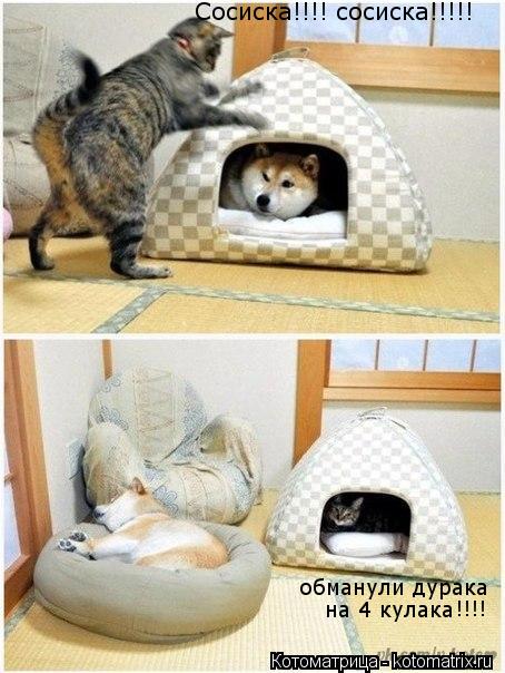 Сосиска!!!! сосиска!!!!! обманули дурака на 4 кулака !!!!... Котоматрица: Сосиска!!!! сосиска!!!!! обманули дурака на 4 кулака !!!!