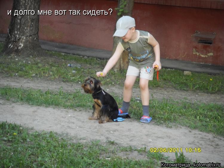 и долго мне вот так сидеть?... Котоматрица: и долго мне вот так сидеть?
