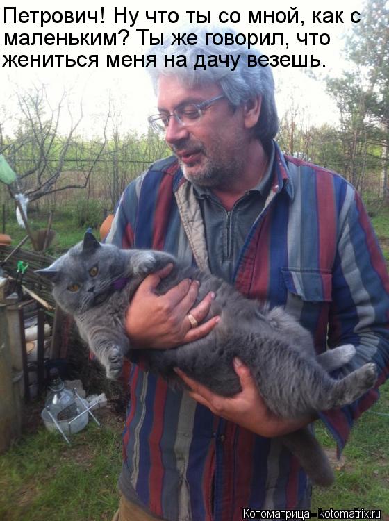 Котоматрица: Петрович! Ну что ты со мной, как с жениться меня на дачу везешь. маленьким? Ты же говорил, что