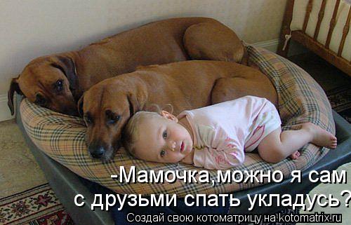 -Мамочка,можно я сам с друзьми спать укладусь?... Котоматрица: -Мамочка,можно я сам с друзьми спать укладусь?