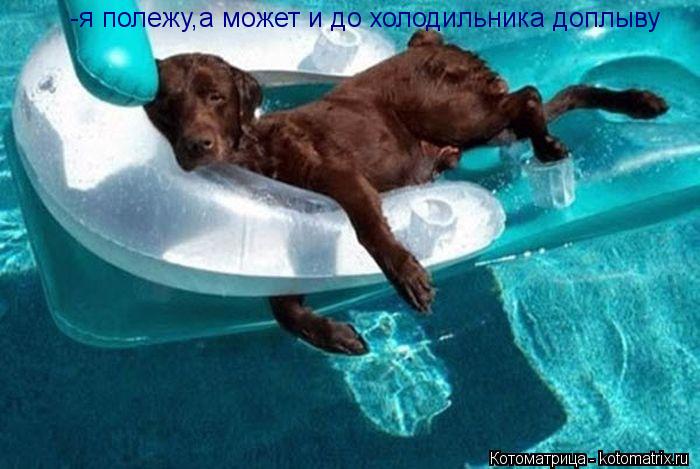 -я полежу,а может и до холодильника доплыву... Котоматрица: -я полежу,а может и до холодильника доплыву