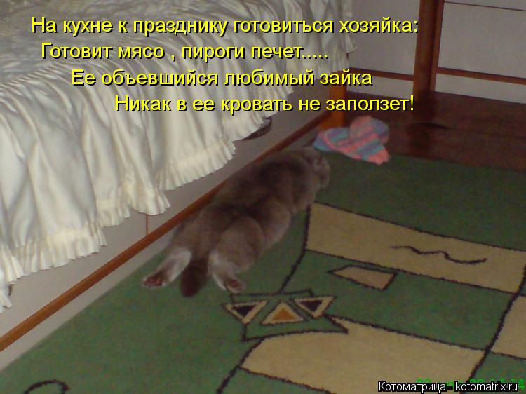 Котоматрица: На кухне к празднику готовиться хозяйка: Готовит мясо , пироги печет..... Ее объевшийся любимый зайка Никак в ее кровать не заползет!