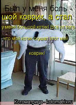 Был у меня боль - шой коврик, а стал у меня большой котик! Всё от того, что мой котик скушал этот мой... Котоматрица: Был у меня боль - шой коврик, а стал у меня большой котик! Всё от того, что мой котик скушал этот мой коврик!