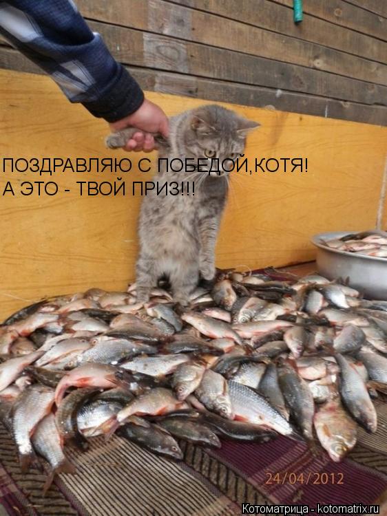 ПОЗДРАВЛЯЮ С ПОБЕДОЙ,КОТЯ! А ЭТО - ТВОЙ ПРИЗ!!!... Котоматрица: ПОЗДРАВЛЯЮ С ПОБЕДОЙ,КОТЯ! А ЭТО - ТВОЙ ПРИЗ!!!