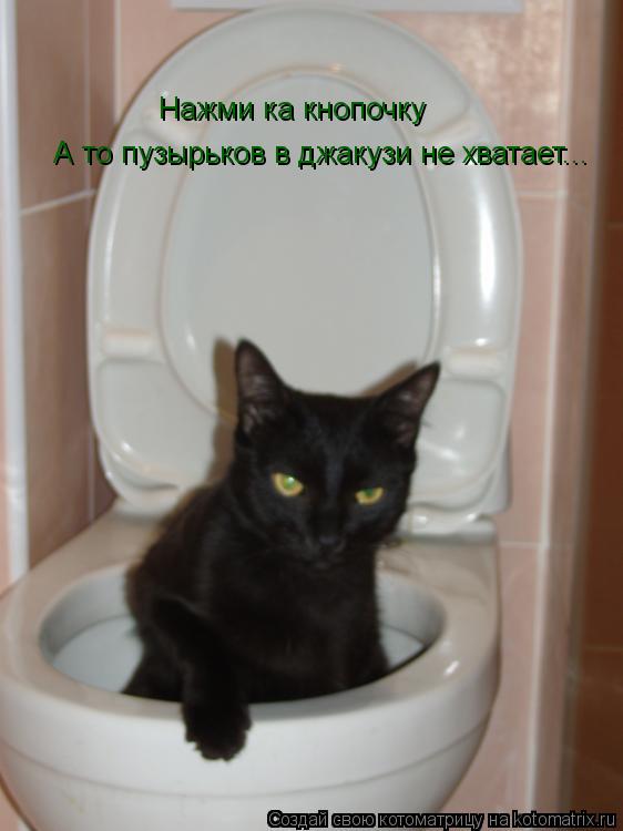 Нажми ка кнопочку А то пузырьков в джакузи не хватает...... Котоматрица: Нажми ка кнопочку А то пузырьков в джакузи не хватает...