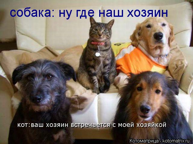 собака: ну где наш хозяин кот:ваш хозяин встречается с моей хозяйкой... Котоматрица: собака: ну где наш хозяин кот:ваш хозяин встречается с моей хозяйкой