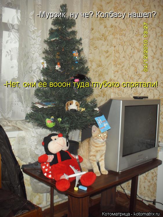 -Мурзик, ну че? Колбасу нашел? -Нет, они ее вооон туда глубоко спрятали!... Котоматрица: -Мурзик, ну че? Колбасу нашел? -Нет, они ее вооон туда глубоко спрятали!