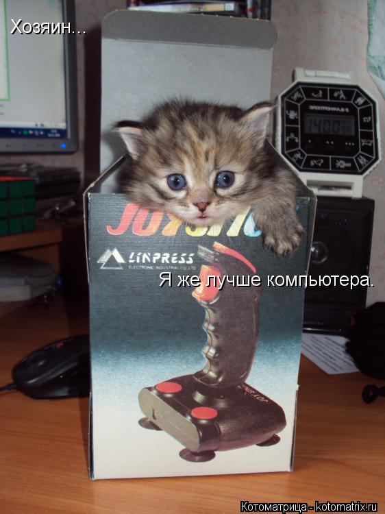 Хозяин... Я же лучше компьютера.... Котоматрица: Хозяин... Я же лучше компьютера.