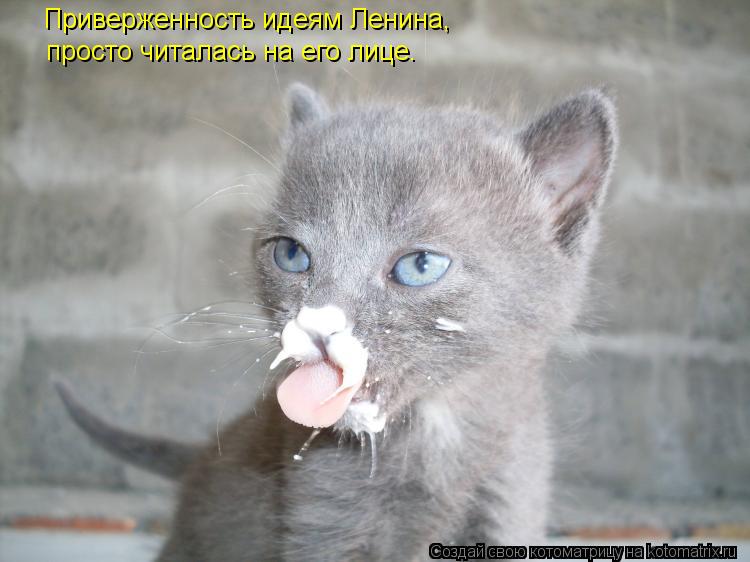 Котоматрица: Приверженность идеям Ленина, просто читалась на его лице.
