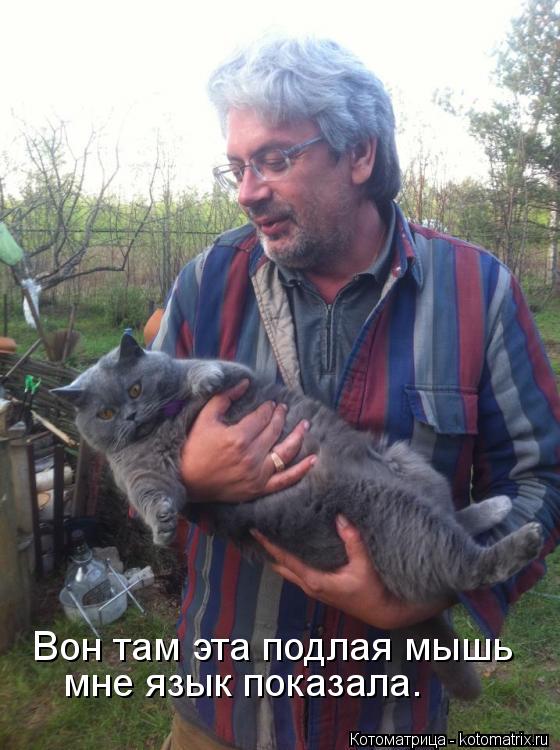 Котоматрица: Вон там эта подлая мышь  мне язык показала.