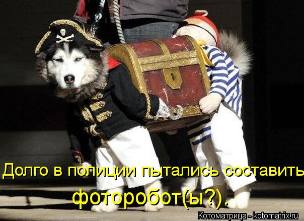 Долго в полиции пытались составить фоторобот(ы?).... Котоматрица: Долго в полиции пытались составить фоторобот(ы?).