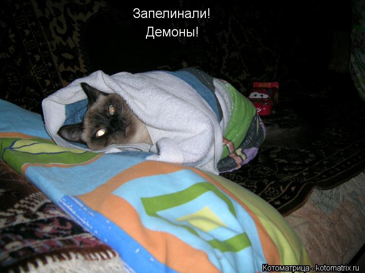 Запелинали! Демоны!... Котоматрица: Запелинали! Демоны!