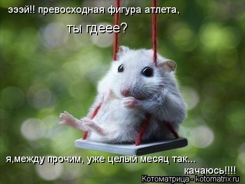 эээй!! превосходная фигура атлета, ты гдеее? я,между прочим, уже целый месяц так... качаюсь!!!!... Котоматрица: эээй!! превосходная фигура атлета, ты гдеее? я,между прочим, уже целый месяц так... качаюсь!!!!
