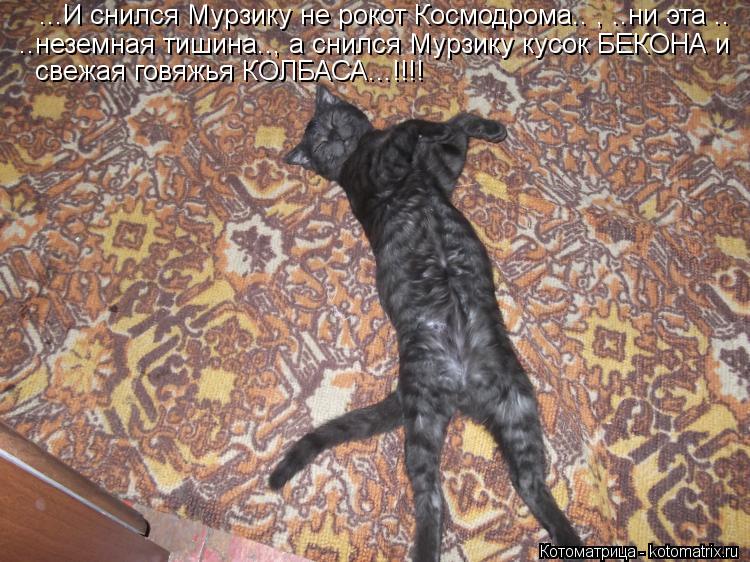 ...И снился Мурзику не рокот Космодрома.. , ..ни эта .. ..неземная тишина.., а снился Мурзику кусок ... Котоматрица: ...И снился Мурзику не рокот Космодрома.. , ..ни эта .. ..неземная тишина.., а снился Мурзику кусок БЕКОНА и свежая говяжья КОЛБАСА...!!!!