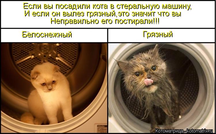 Белоснежный Грязный Если вы посадили кота в стеральную машину, И если он вылез грязный,это значит что... Котоматрица: Белоснежный Грязный Если вы посадили кота в стеральную машину, И если он вылез грязный,это значит что вы Неправильно его постирали!!!
