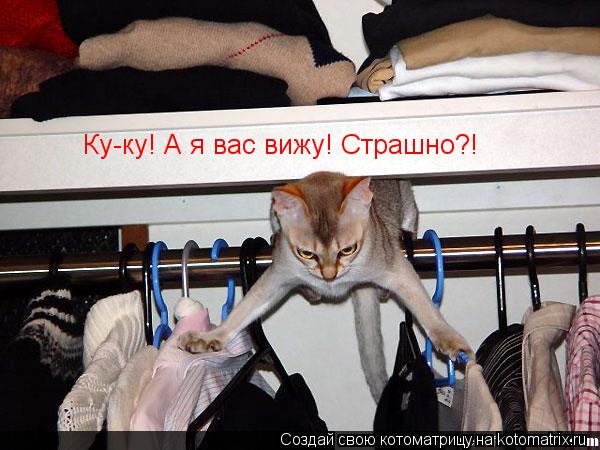 Ку-ку! А я вас вижу! Страшно?!... Котоматрица: Ку-ку! А я вас вижу! Страшно?!