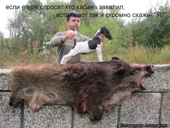 если егеря спросят кто кабана завалил, встань вот так и скромно скажи- "Я!"... Котоматрица: если егеря спросят кто кабана завалил, встань вот так и скромно скажи- "Я!"