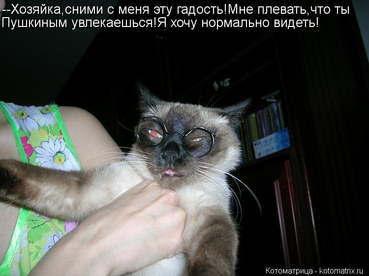 --Хозяйка,сними с меня эту гадость!Мне плевать,что ты Пушкиным увлекаешься!Я хочу нормально видеть!... Котоматрица: --Хозяйка,сними с меня эту гадость!Мне плевать,что ты Пушкиным увлекаешься!Я хочу нормально видеть!