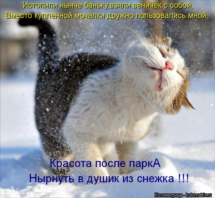Истопили нынче баньку,взяли веничек с собой, Вместо купленной мочалки дружно пользовались мной... Кра... Котоматрица: Истопили нынче баньку,взяли веничек с собой, Вместо купленной мочалки дружно пользовались мной... Красота после паркА Нырнуть в душик из сн