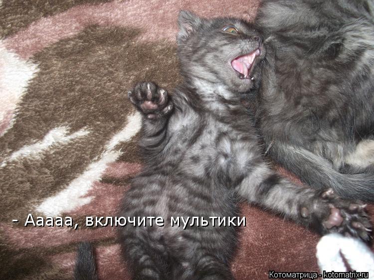 - Ааааа, включите мультики... Котоматрица: - Ааааа, включите мультики