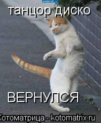 Котоматрица: танцор диско  ВЕРНУЛСЯ