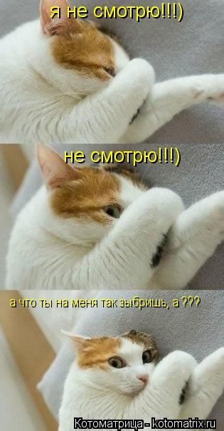 Котоматрица: я не смотрю!!!) не смотрю!!!) а что ты на меня так зыбришь, а ???