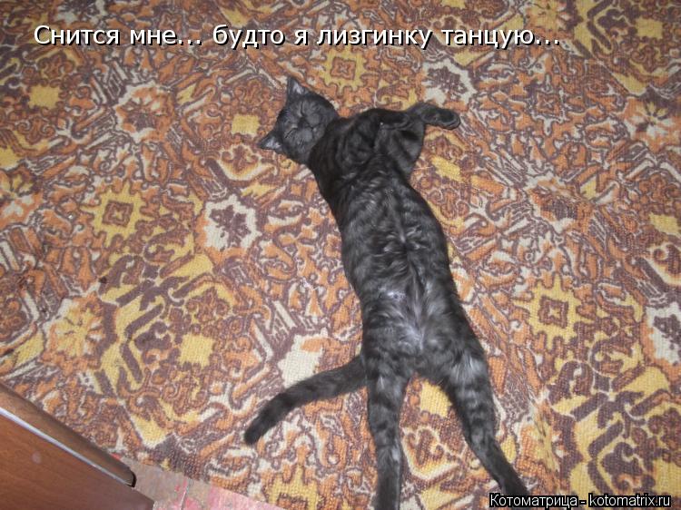 Снится мне... будто я лизгинку танцую...... Котоматрица: Снится мне... будто я лизгинку танцую...