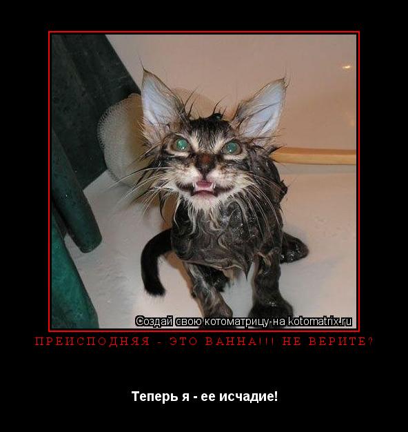 ПреисподнЯЯ - это ванна!!! Не верите? Теперь я - ее исчадие!... Котоматрица: ПреисподнЯЯ - это ванна!!! Не верите? Теперь я - ее исчадие!