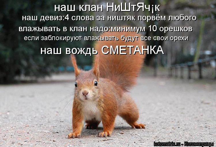 наш клан НиШтЯчЁк наш девиз:4 слова за ништяк порвём любого влажывать в клан надо:минимум 10 орешков ... Котоматрица: наш клан НиШтЯчЁк наш девиз:4 слова за ништяк порвём любого влажывать в клан надо:минимум 10 орешков если заблокируют влажывать будут все св