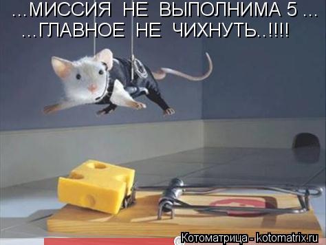 ...МИССИЯ НЕ ВЫПОЛНИМА 5 ... ...ГЛАВНОЕ НЕ ЧИХНУТЬ..!!!!... Котоматрица: ...МИССИЯ НЕ ВЫПОЛНИМА 5 ... ...ГЛАВНОЕ НЕ ЧИХНУТЬ..!!!!