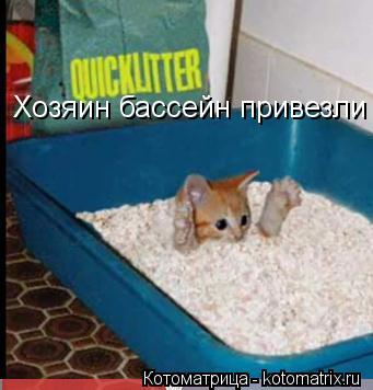 Хозяин бассейн привезли... Котоматрица: Хозяин бассейн привезли