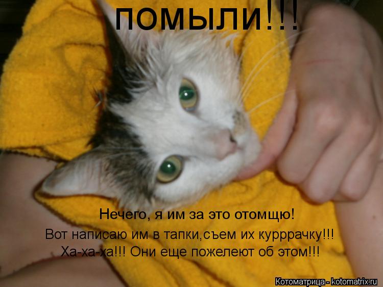 Нечего, я им за это отомщю! Вот написаю им в тапки,съем их курррачку!!! Ха-ха-ха!!! Они еще пожелеют ... Котоматрица: Нечего, я им за это отомщю! Вот написаю им в тапки,съем их курррачку!!! Ха-ха-ха!!! Они еще пожелеют об этом!!! помыли!!!