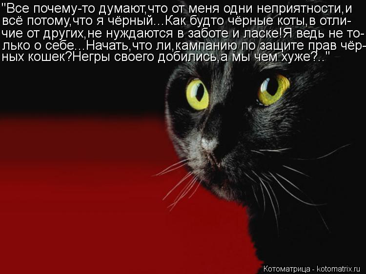 Котоматрица: "Все почему-то думают,что от меня одни неприятности,и всё потому,что я чёрный...Как будто чёрные коты,в отли- чие от других,не нуждаются в забо