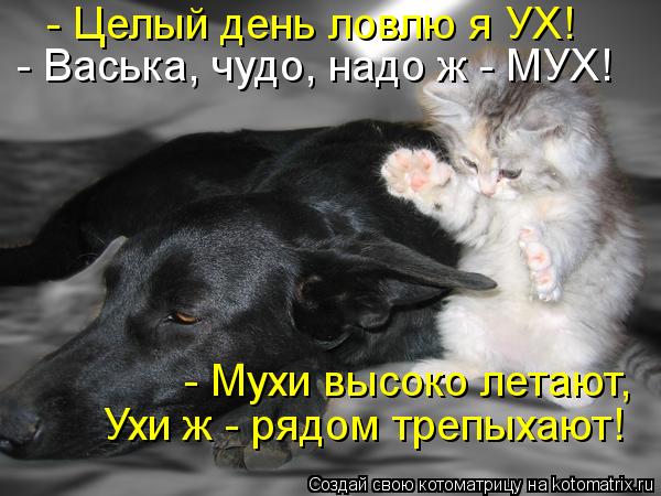 - Целый день ловлю я УХ! - Васька, чудо, надо ж - МУХ! - Мухи высоко летают, Ухи ж - рядом трепыхают!... Котоматрица: - Целый день ловлю я УХ! - Васька, чудо, надо ж - МУХ! - Мухи высоко летают, Ухи ж - рядом трепыхают!