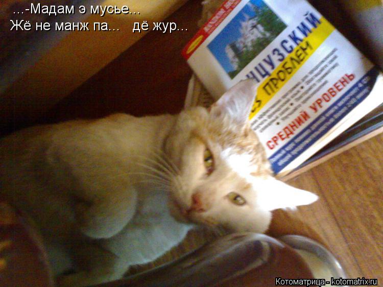 ...-Мадам э мусье... Жё не манж па... дё жур...... Котоматрица: ...-Мадам э мусье... Жё не манж па... дё жур...