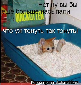 Нет ну вы бы еще больше насыпали что уж тонуть так тонуть!... Котоматрица: Нет ну вы бы еще больше насыпали что уж тонуть так тонуть!